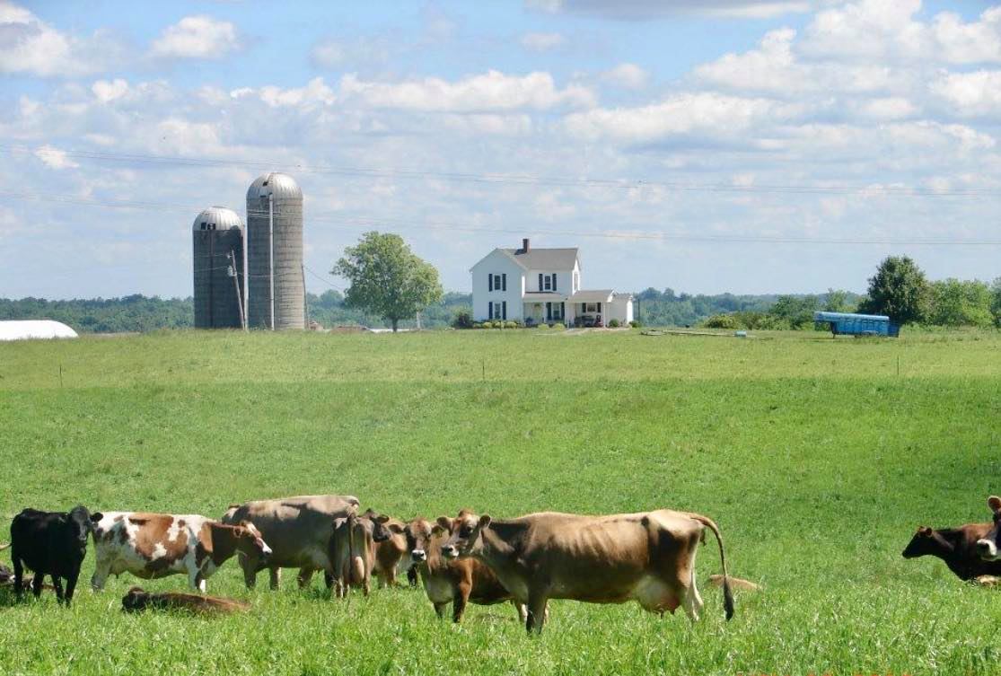 On Tapp Dairy photo